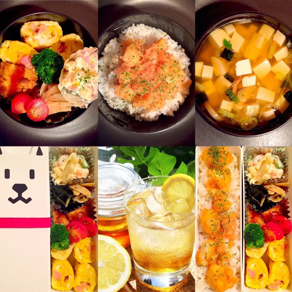 Snapdishの料理写真:我が家のお弁当ﾟ+｡:.ﾟஐ♡|Mikako Iidaさん