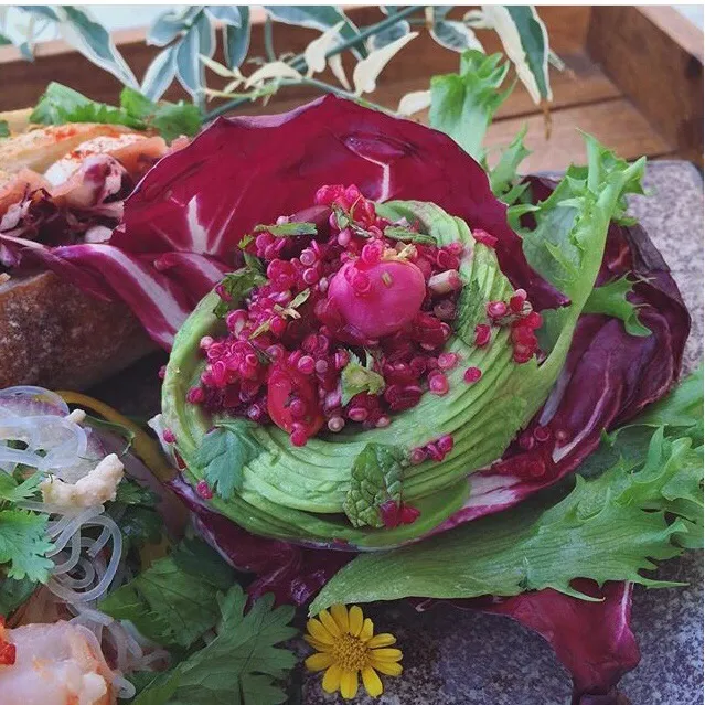 Snapdishの料理写真:Beets & Quinoa salad❁|⋆͛*͛wandering.cat⋆͛*͛さん