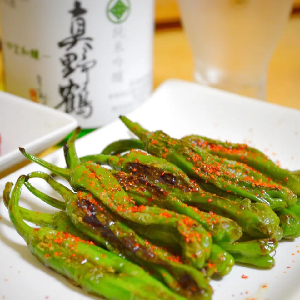 ししとうの醤油炒め|寺尾真次さん