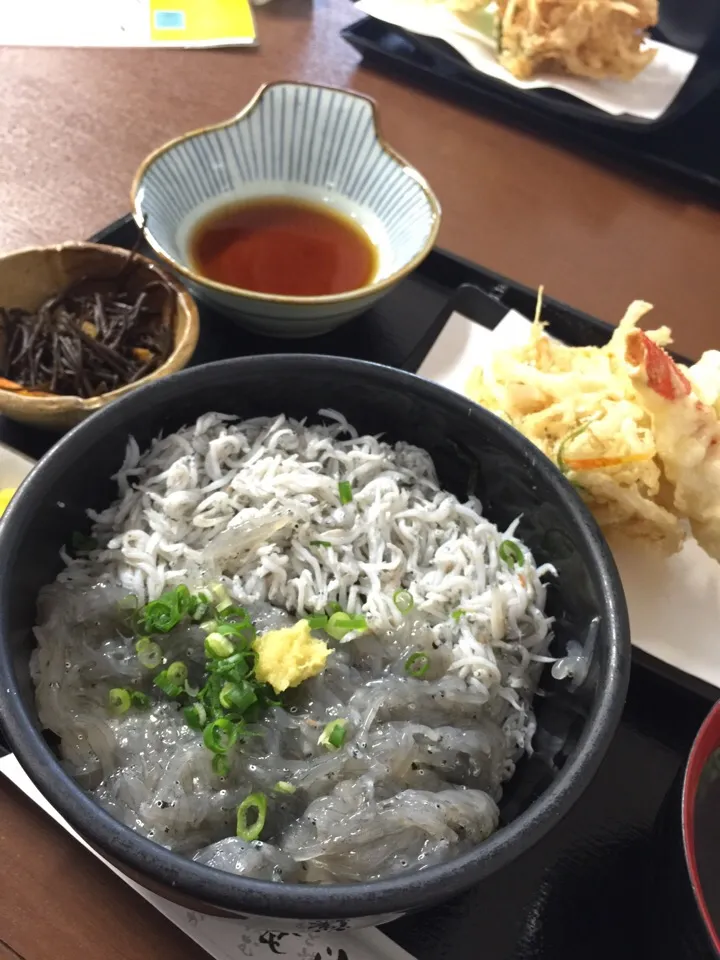 四国上陸。まずは、しらす丼。|織友さん