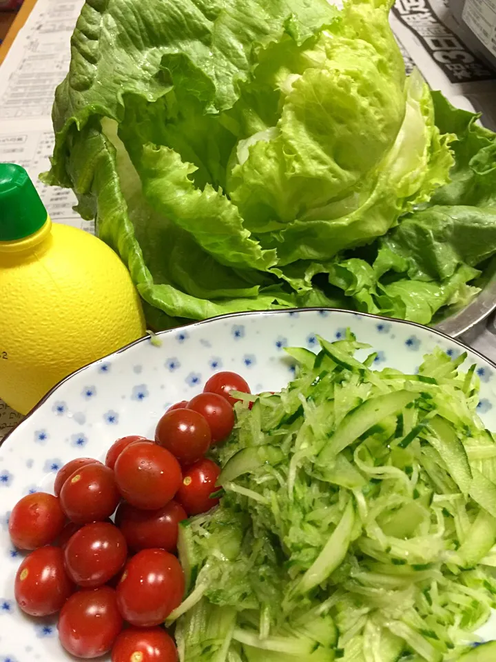 焼き肉のお供|ゆずあんずさん