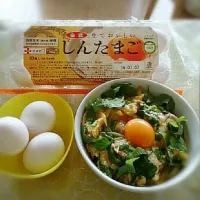 Snapdishの料理写真:親子丼|☆K美☆さん