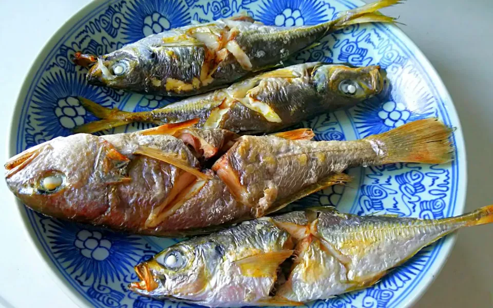 塩焼きはふゎふゎでお口でとろけました😘💕
鯵&イシモチ君🐟|みうのすけさん