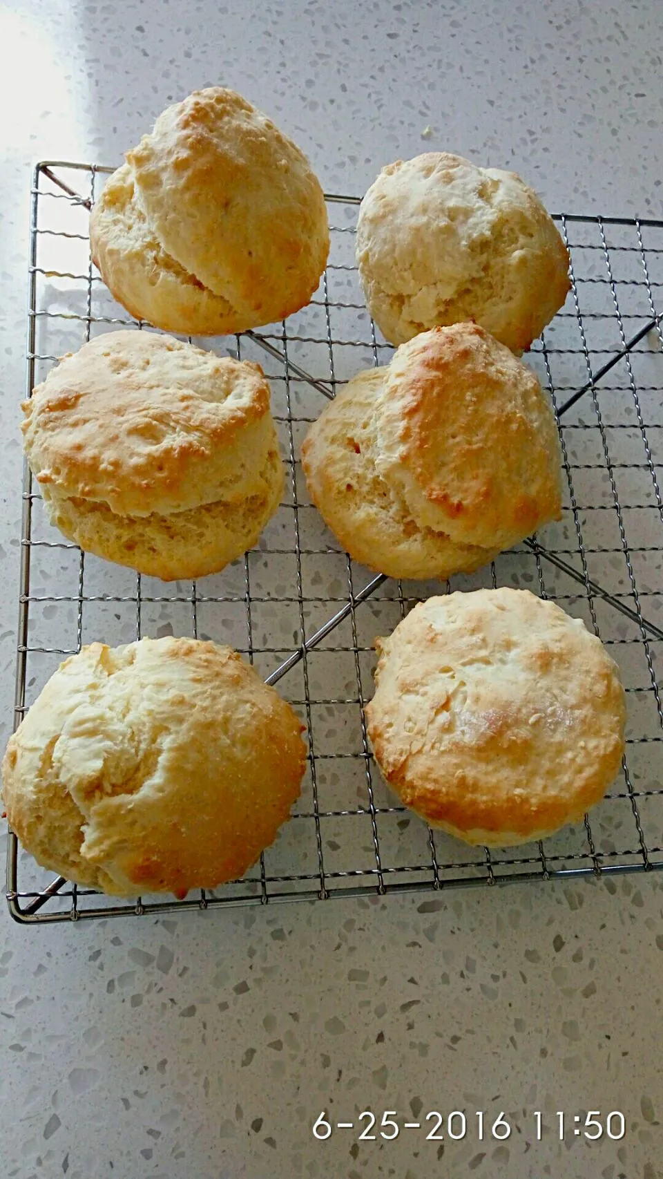 best scone i have ever made|Vivian Wangさん