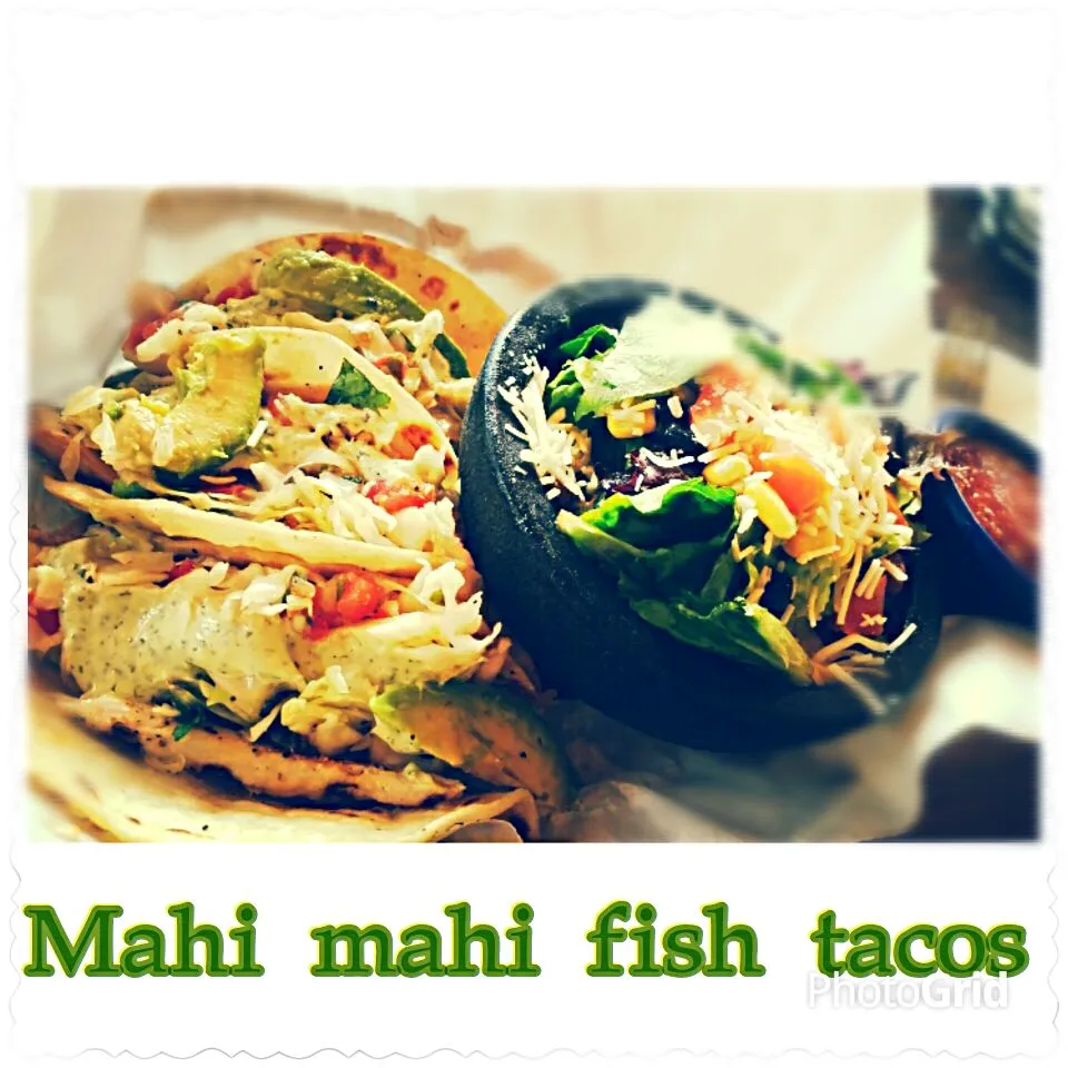 Trip to Kansas City, MO, USA - Lunch at Sol cantina.  Three Mahi-mahi tacos with a side salad.|Jihollandさん