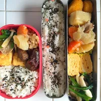 Snapdishの料理写真:肉じゃが弁当|エミリーさん