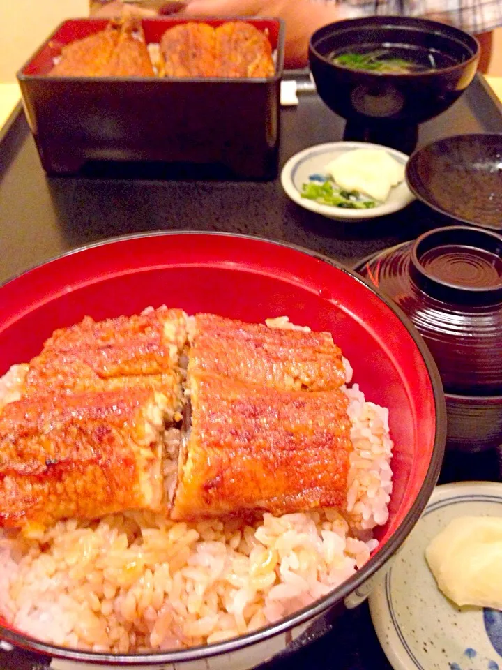 竹うちの鰻🍴|しのてらさん