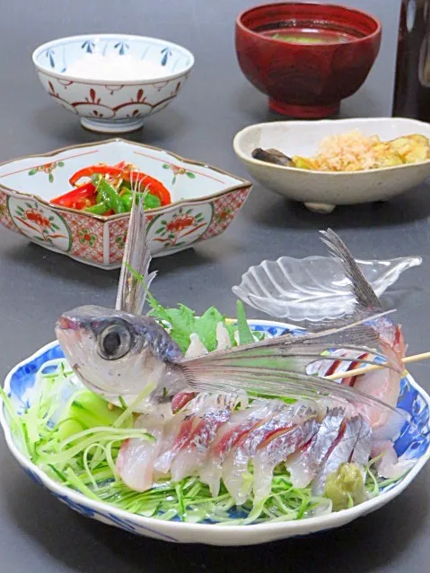 Snapdishの料理写真:今晩は、飛魚のお造り、2色ピーマンと網エビの炒め煮、焼き茄子 糸鰹、茄子と葱の味噌汁、ご飯

唯一空を飛べる魚の飛魚は、軽く400m40秒以上飛行するとか。
身が締まっていて淡白な味です。
春の飛魚、春トビは高価ですが、今日のは夏トビ(^^)
超特製ポン酢で頂いて幸せでした。

今日も美味しかった！|akazawa3さん