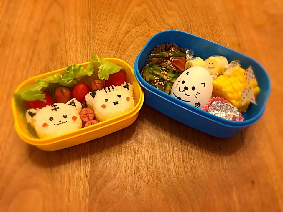 ワンコ🤔❓ニャンコ🤔❓ゆで卵…お弁当🍙|noⓂ︎さん