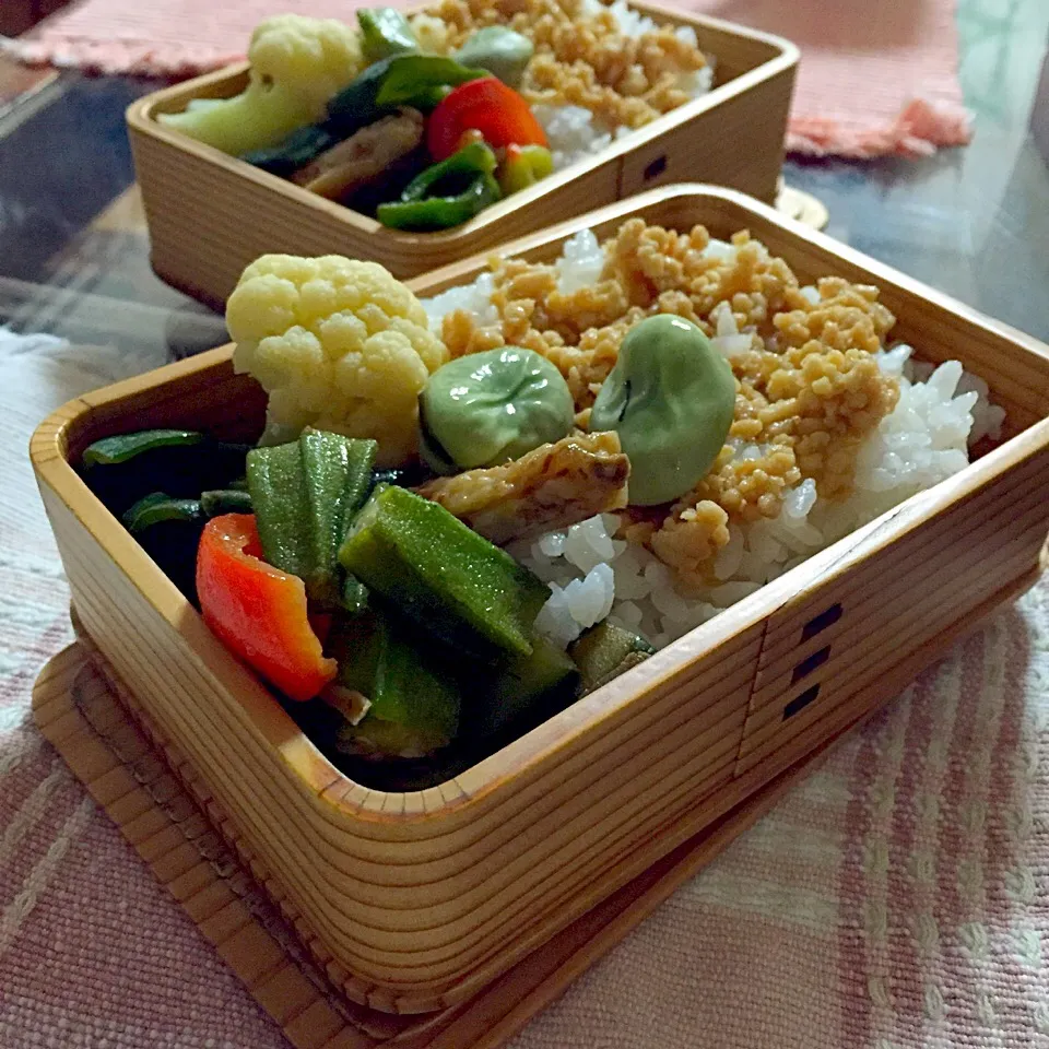 Snapdishの料理写真:鶏そぼろご飯☺️オクラ、ピーマン、赤ピーマン、胡瓜のなどの夏野菜にカリッと手羽中を合わせた生姜風味の炒め物。カリフラワーのバター醤油。|Kumi_loveさん