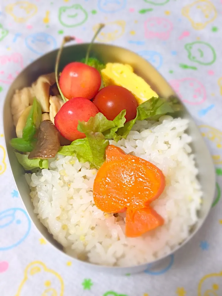 Snapdishの料理写真:幼稚園弁当|さとねこさん