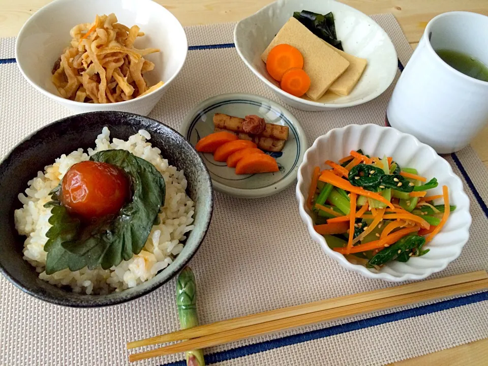 Snapdishの料理写真:小松菜と人参のナムル☆高野豆腐の煮物☆切り干し大根のはりはり☆卵黄のしょうゆ漬け☆しそのニンニク醤油漬け☆ぬか漬け☆ごぼうの梅煮|Aki_macrobianさん