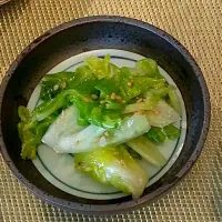 Snapdishの料理写真:薬膳★塩キャベツ|みささん