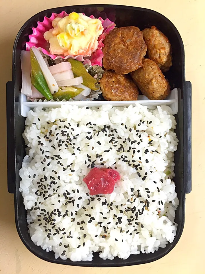 Snapdishの料理写真:お弁当／男子高校生|nayutaさん