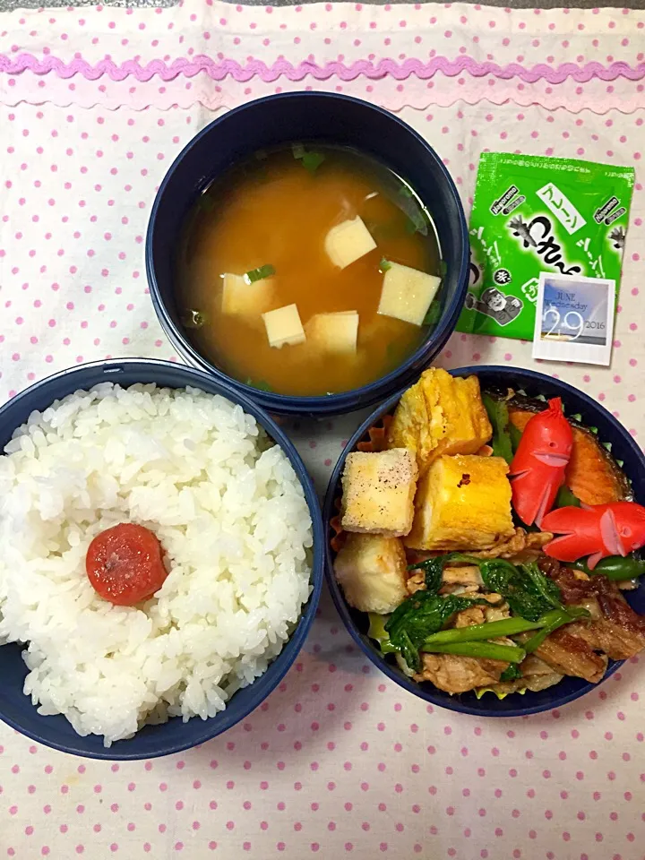 6月29日の高2男子のお弁当♪|ごっちさん