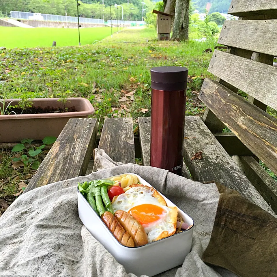 ピクニック・ランチ♬ (▰˘◡˘▰)☝︎|Yoshinobu Nakagawaさん