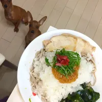 Snapdishの料理写真:おろしなめたけ蕎麦 犬添え|Shizuko Hasebeさん