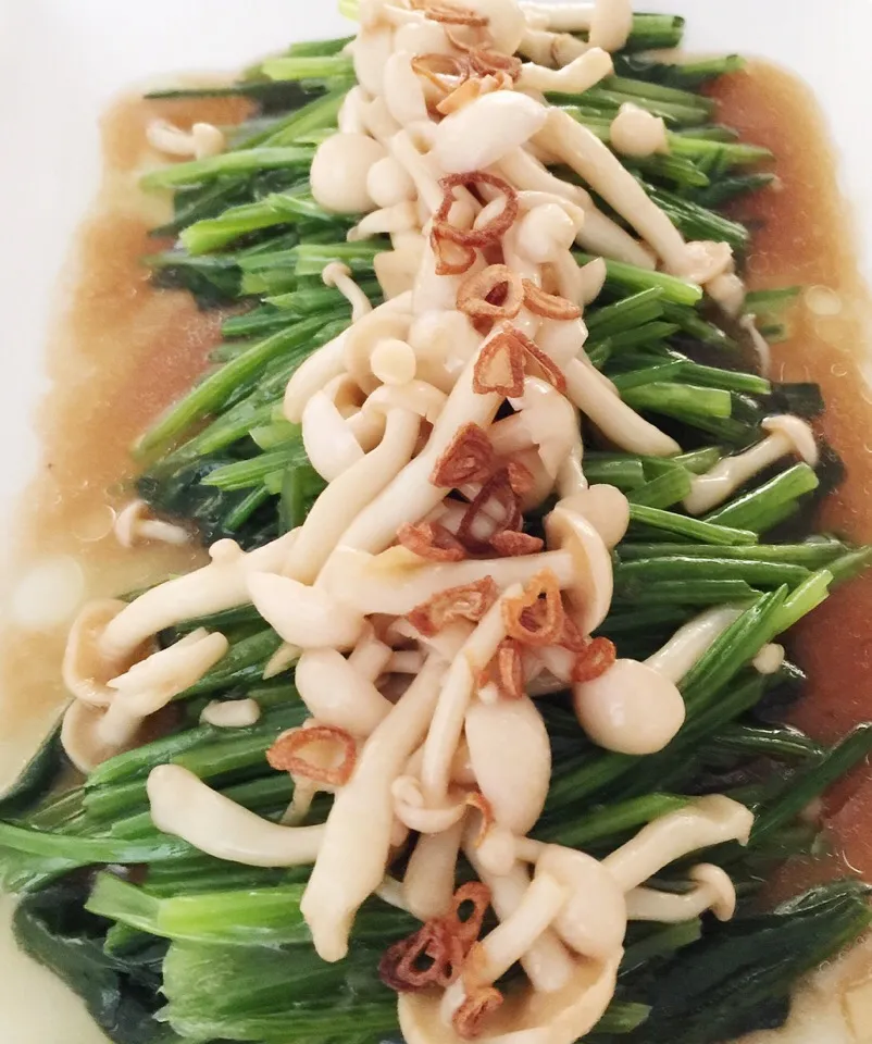 Blanched Chinese spinach with shimeji in oyster sauce|12Dragonさん