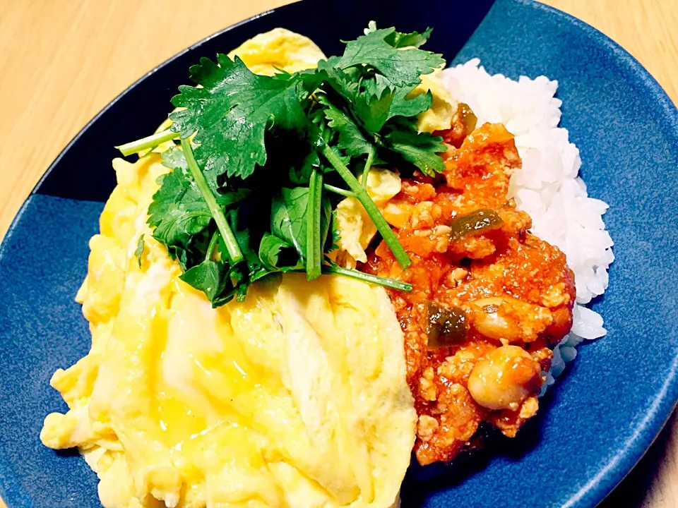 Snapdishの料理写真:大豆のオムレツ丼<パクチー乗せ(✿´꒳`)ﾉ°+.*|hiroeさん