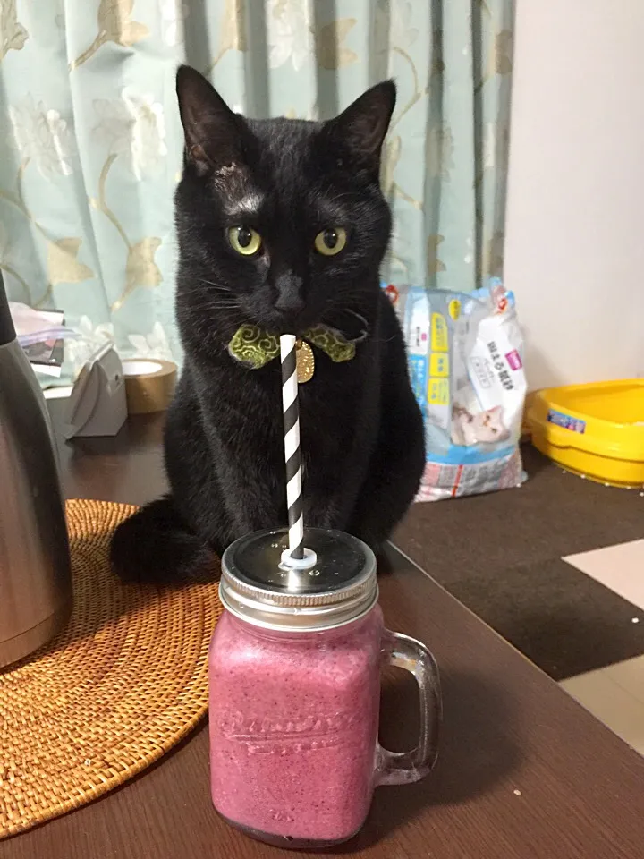 Mixed berries, yogurts & chia shake|yeni kartikasariさん