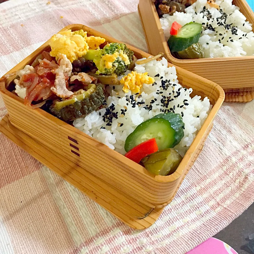 Snapdishの料理写真:ゴーヤの鶏挽肉ミニハンバーグ。麻婆茄子。夏野菜とふっくら卵の甘酢炒め。ジメジメお天気を吹き飛ばせ！☺️な、おべんとさん。|Kumi_loveさん