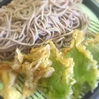 Snapdishの料理写真:冷やし天ぷら蕎麦|にゃんこさん