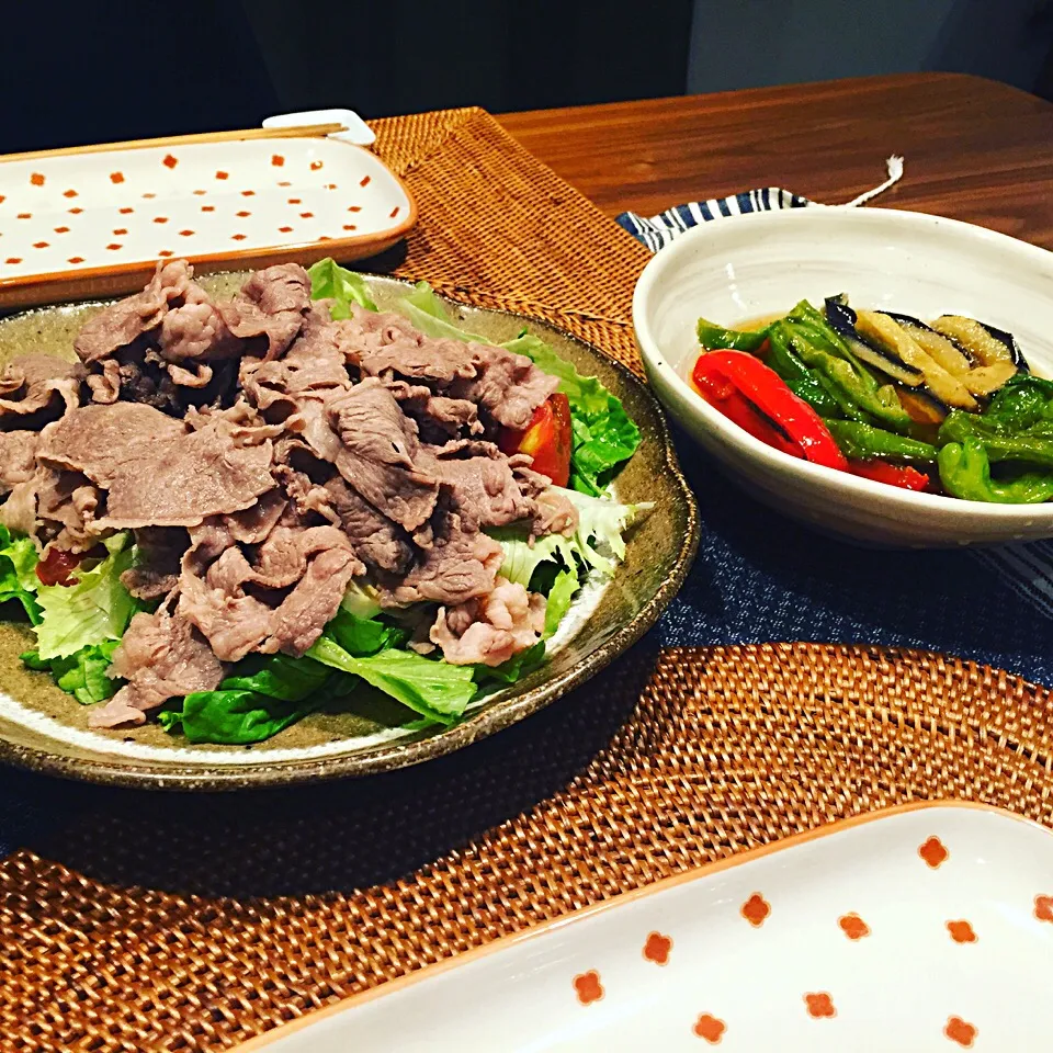 牛しゃぶサラダと色々お野菜の揚げ浸し|はなおさん