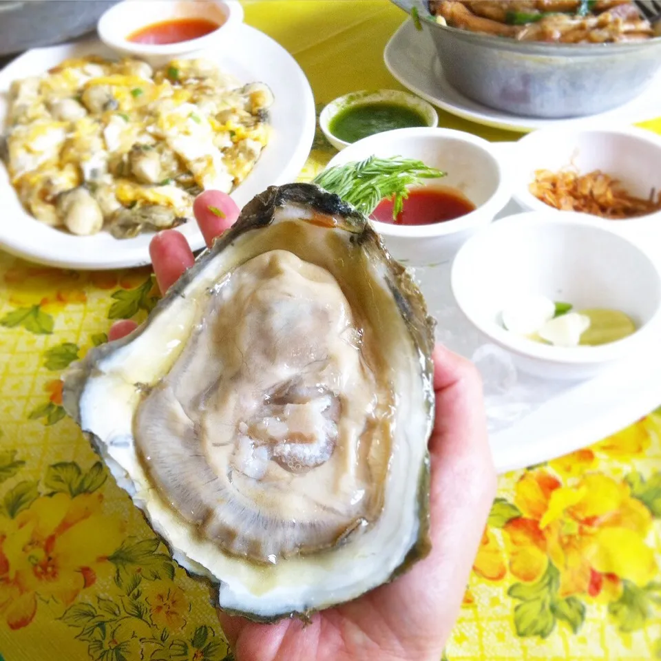 Fresh Oyster #eatinthai|Eat in Thaiさん