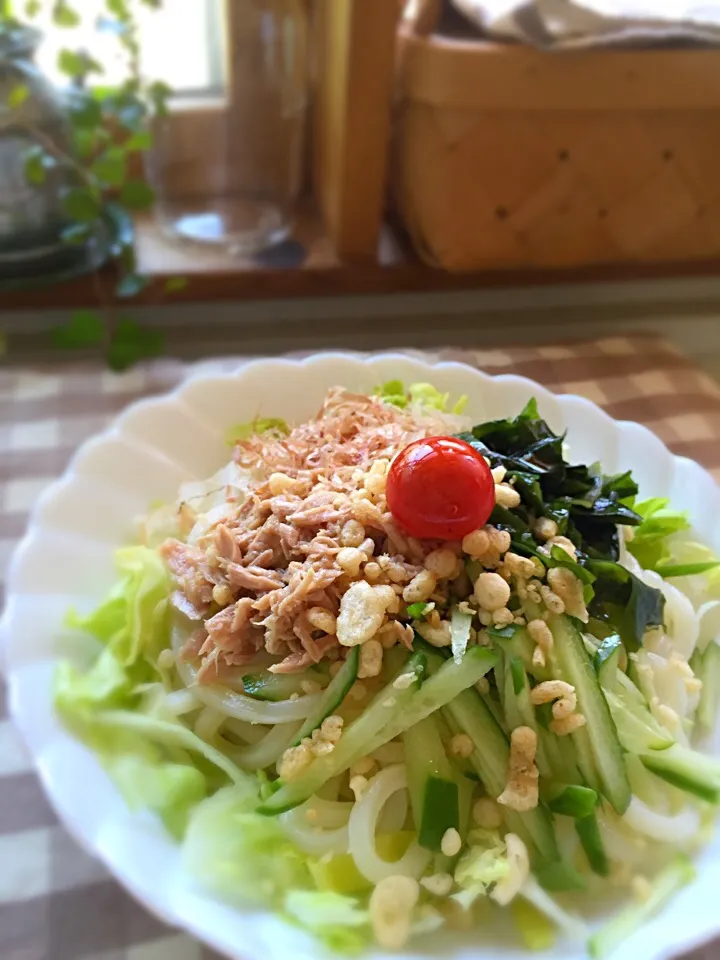 冷やしサラダうどん|Sachiyo Tanakaさん