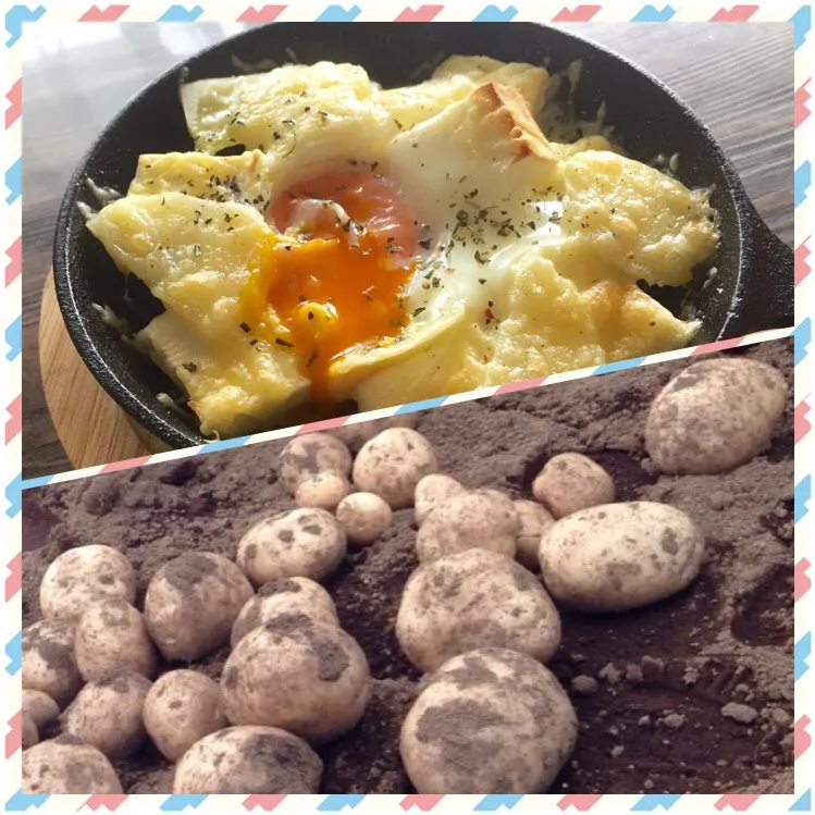 畑で採れたジャガイモとはんぺんのチーズ焼き😋😋😋|いしくん。（たまご王子🥚🐣🐥🐔）さん