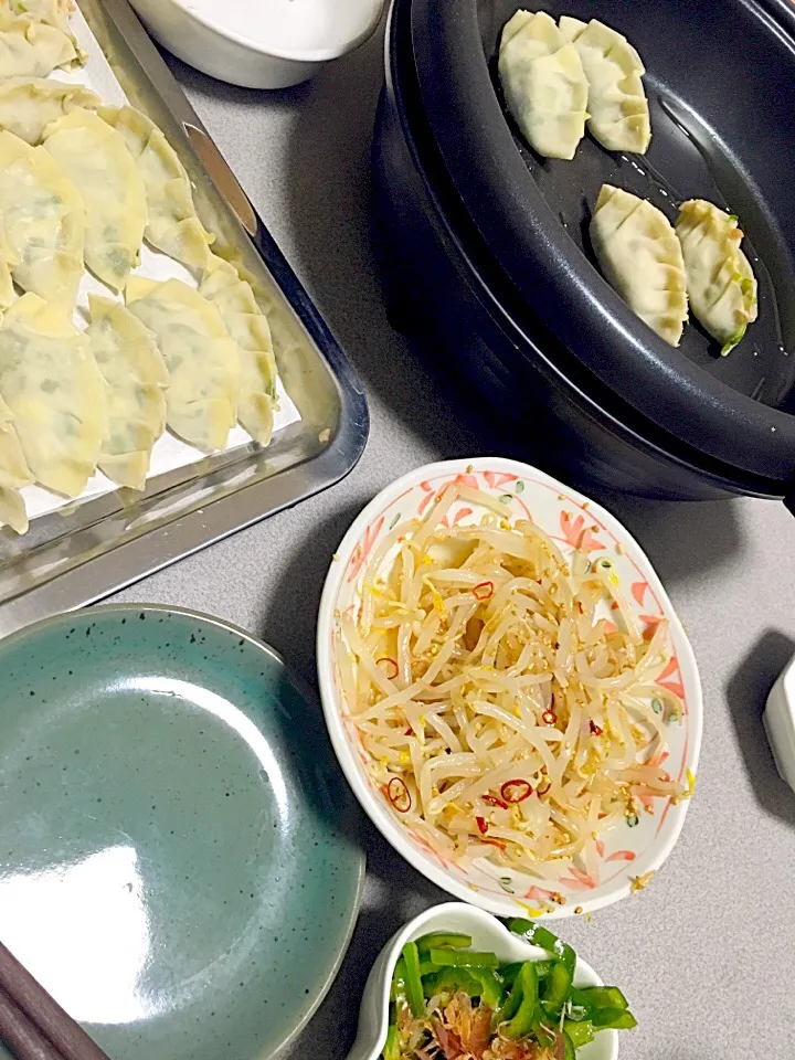 Snapdishの料理写真:🌸餃子パーティ*\(^o^)/*|はなえもんさん