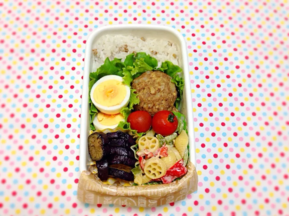 Snapdishの料理写真:豆腐ハンバーグ弁当✨|ku-さん