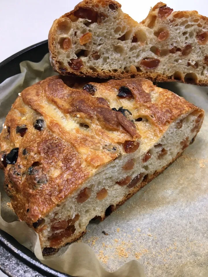 Raisin Bread using the natural yeast of raisin|gonbenさん