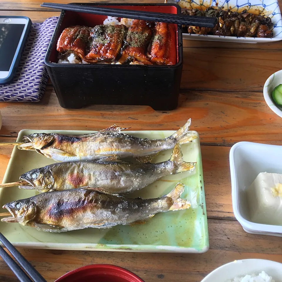 ヤナのうな重、鮎の塩焼き、肝焼き|うさママさん