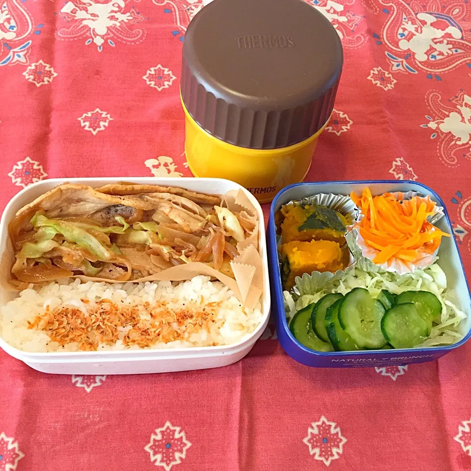 豚肉野菜弁当|とにおさん