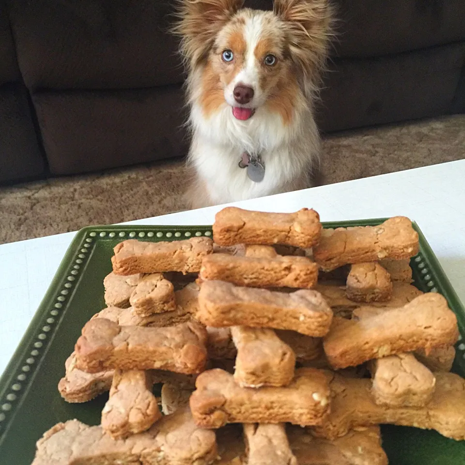 I made Peanut Butter Cookies for my dog. 🐶🐶🐶|mamaeriさん