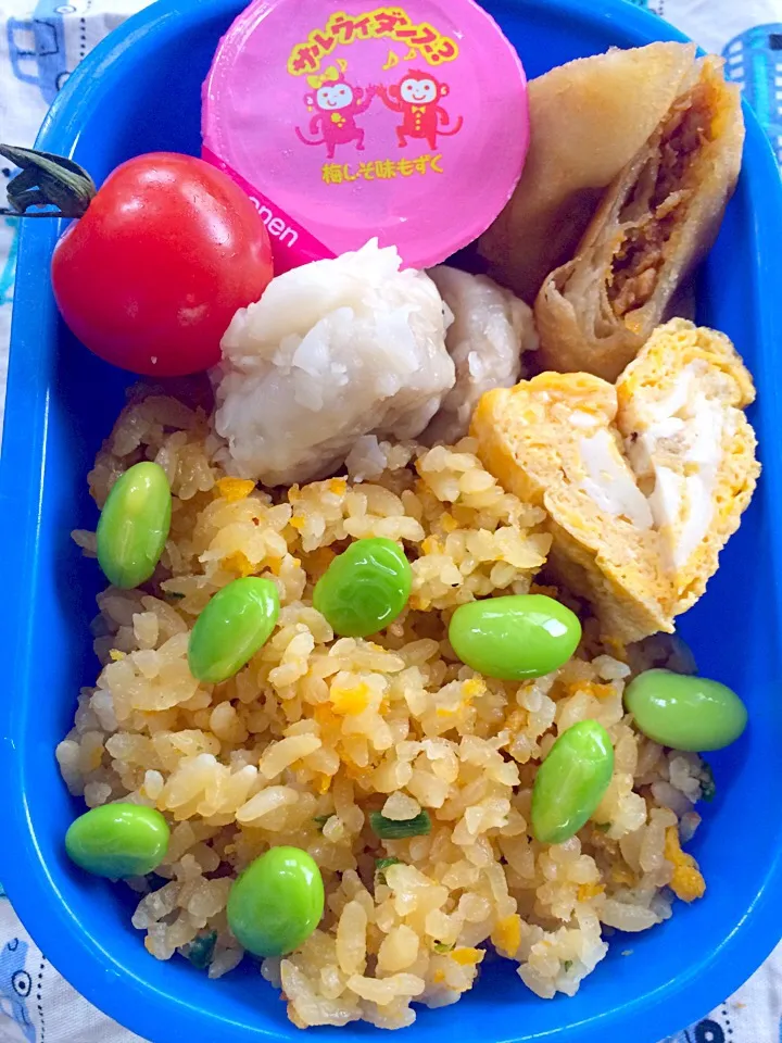 Snapdishの料理写真:Lunch box☆Fried rice🔥炒飯弁当|🌈Ami🍻さん