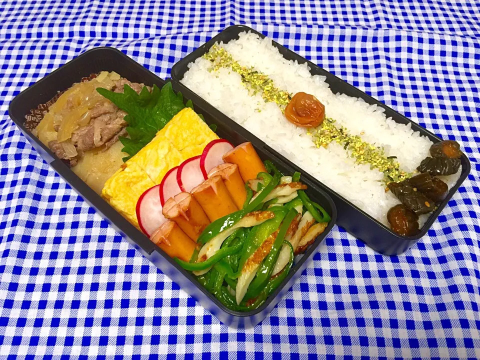 Snapdishの料理写真:☆本日のパパ弁当☆|scandimikanさん