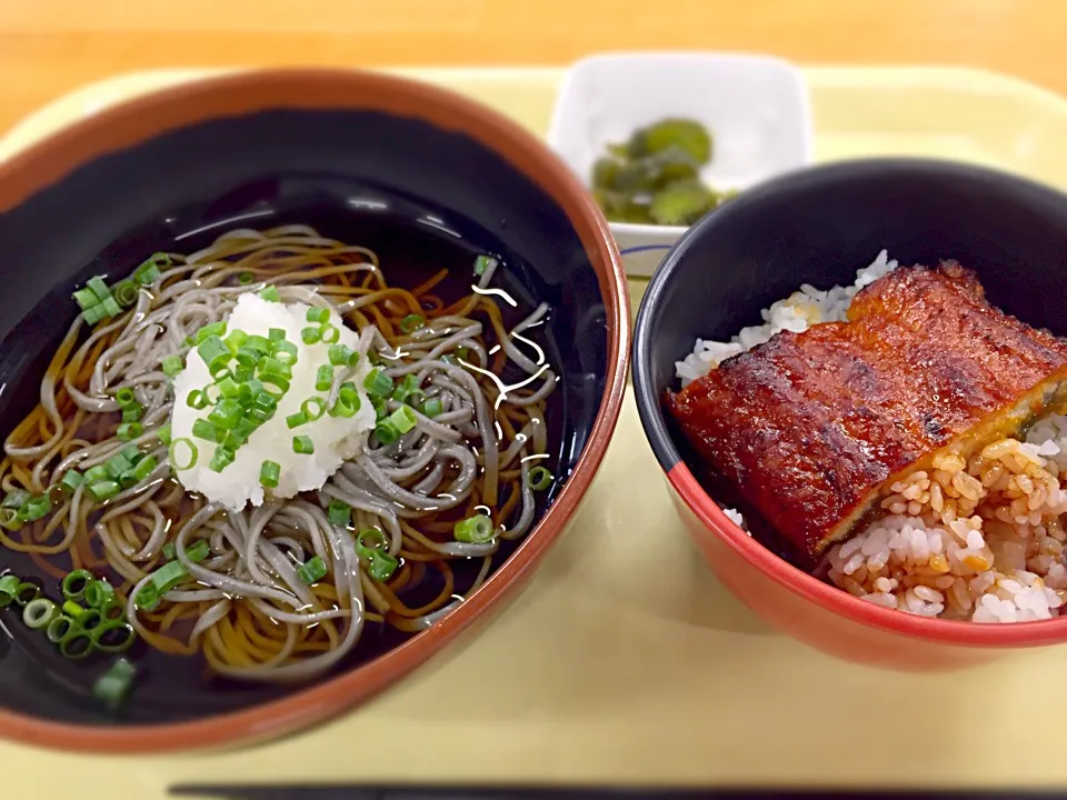 おろし蕎麦とミニうな丼|muraさん