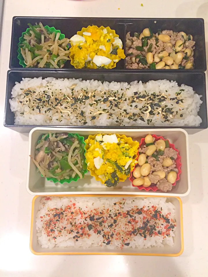 Snapdishの料理写真:本日のお弁当|satchさん