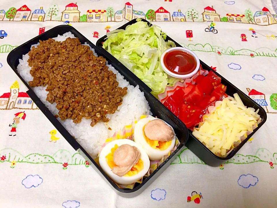 ☆本日のパパ弁当☆|scandimikanさん