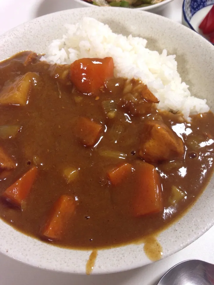 カレーライス
ジャワカレーは大人な辛さでした|りりこさん