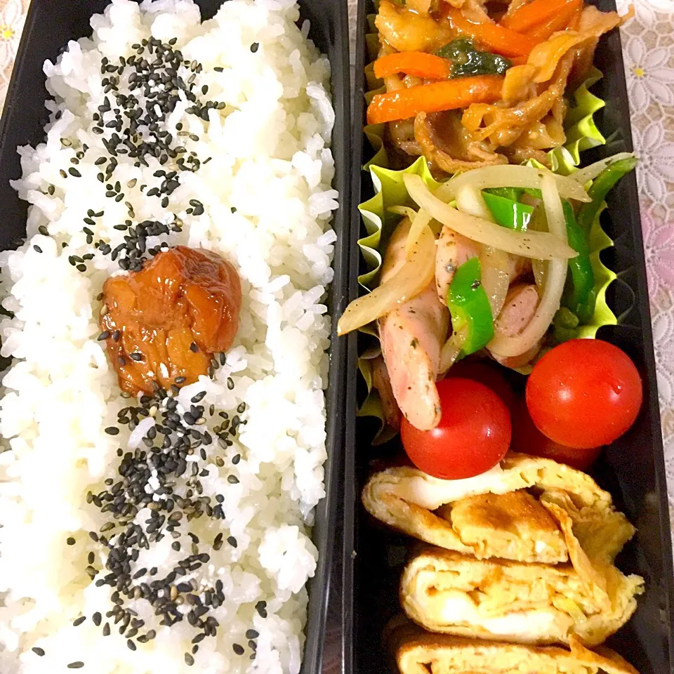 今日のお弁当🍀🍀🍀100円均のお弁当を使ってみました。(＊'͜' )⋆*|putamamaさん