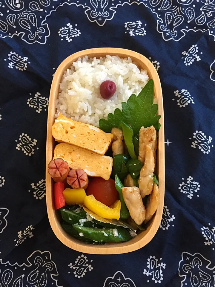 女子高生弁当|yuganさん