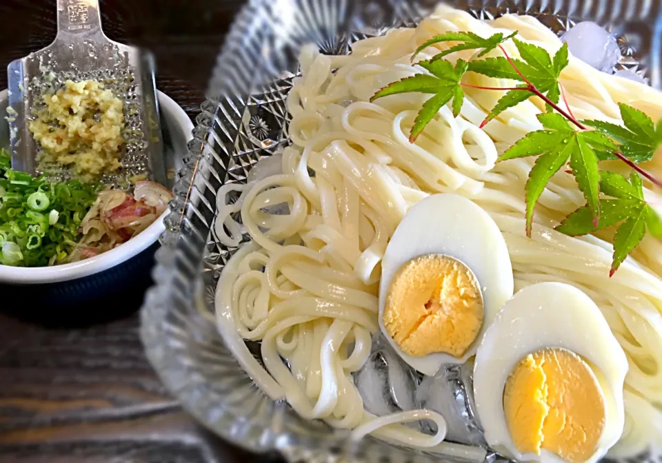 昼です、麺です。
「冷やしうどん」|muutさん