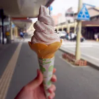 Snapdishの料理写真:Sakura icecream|Euniceさん