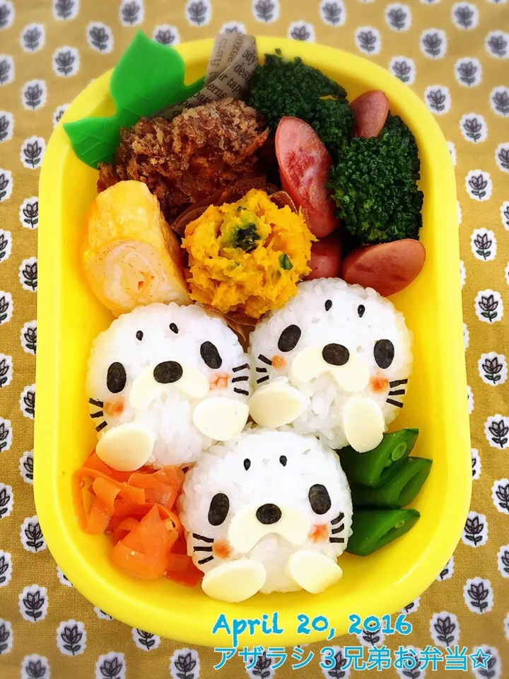 Snapdishの料理写真:アザラシ３兄弟お弁当♪|Junkoさん