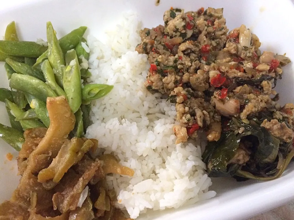 Dinner bento - garlic French beans, bittergourd in yuzu miso and Thai basil chicken|Ong Sor Fernさん