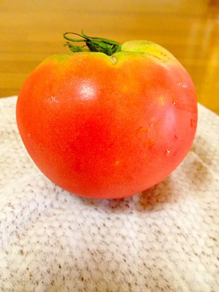 畑で赤くなった採りたてトマト🍅甘い〜|まいりさん