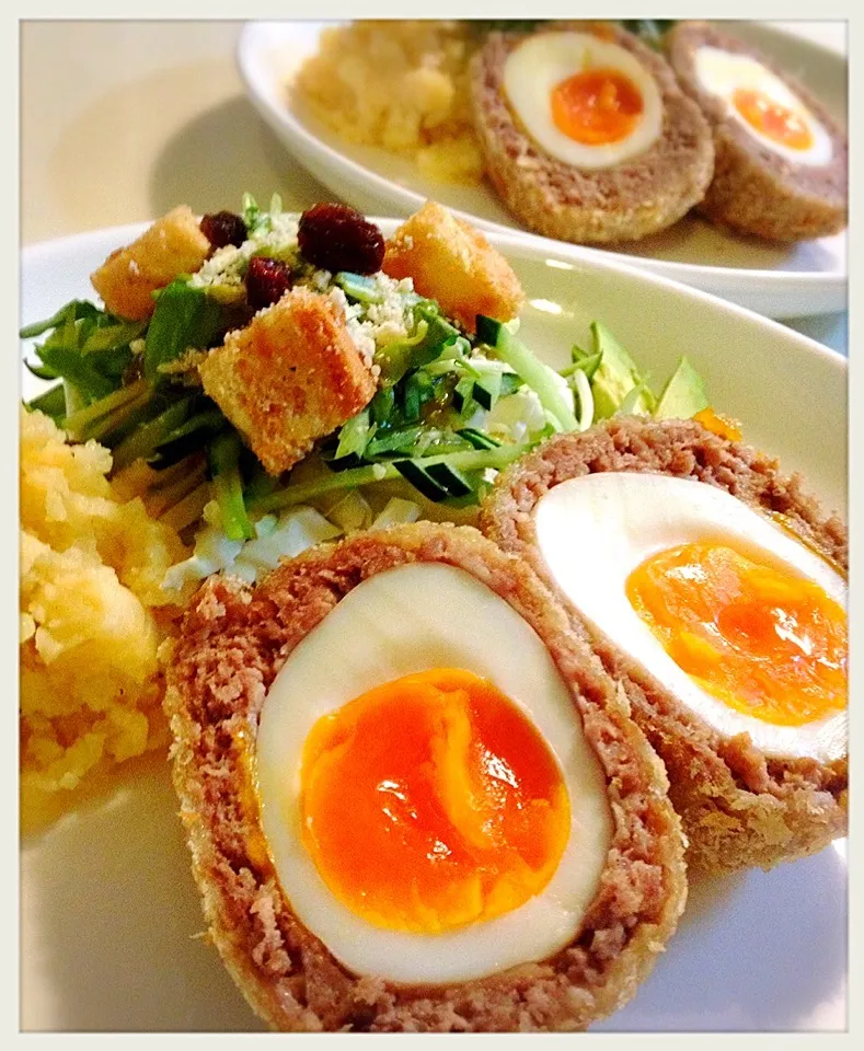 スコッチエッグ。Scotch egg|toyamadaさん